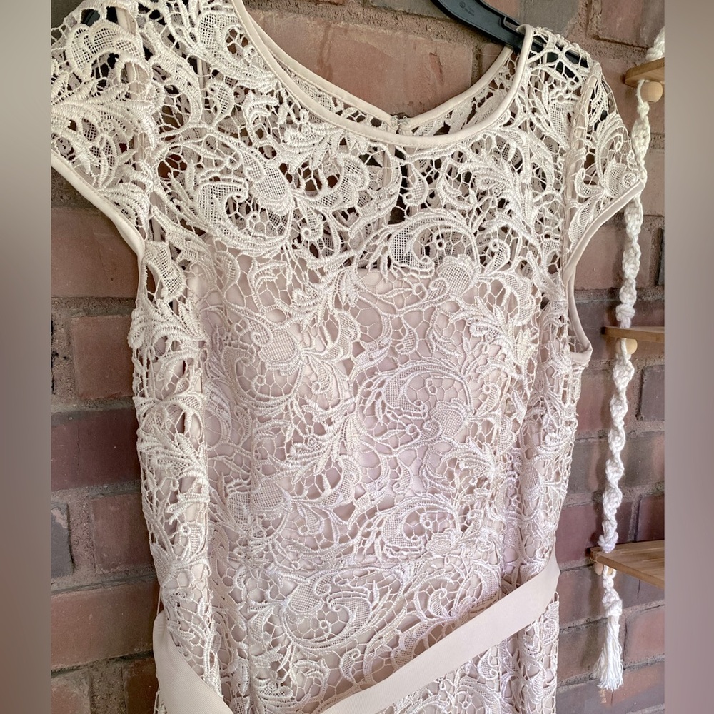 COPY - Adrianna Papell Mother of the Bride Lace Dress 👗